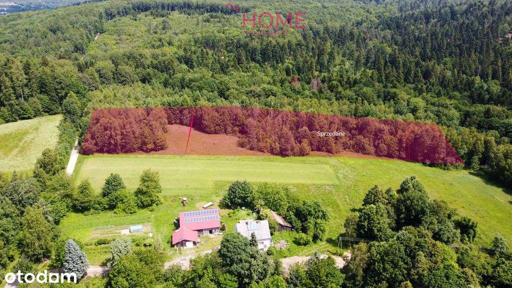 Ostatnia z 5 działek na sprzedaż przy lesie- Lecka - Pełny obrazek: 2/9