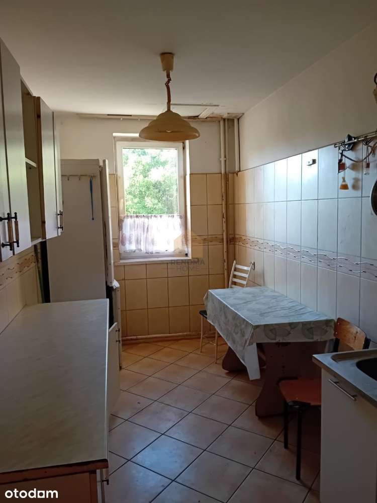 bezczynszowe/ogród/garaż - View 3