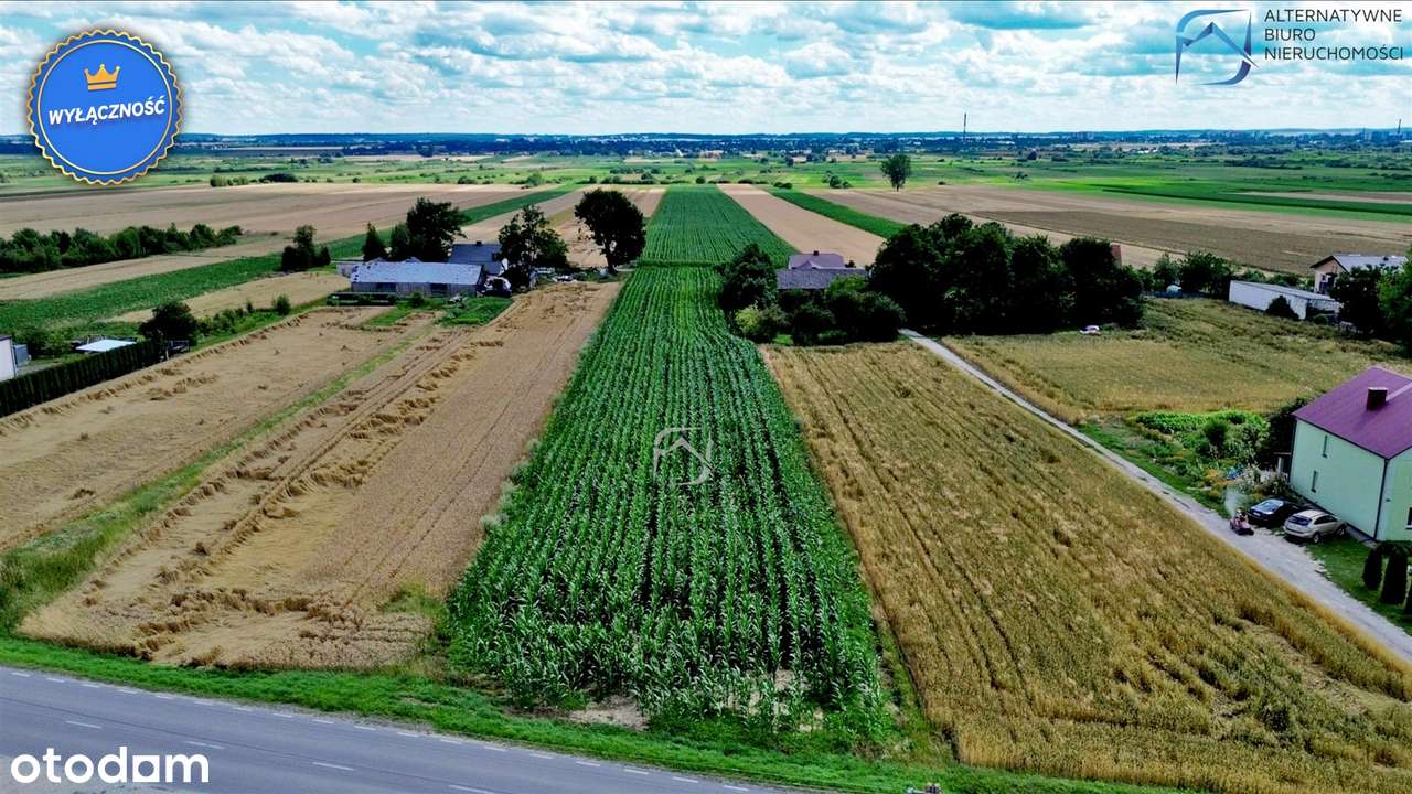 Działki budowlane po 1000m2 - 8 min do Zamościa - Pełny obrazek: 4/10