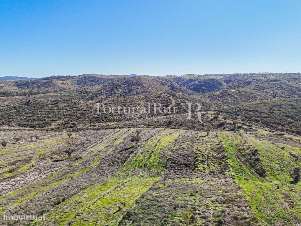 Herdade de Caça Maior com 1000 Hectares + 4 Apartamentos + Anexos-40