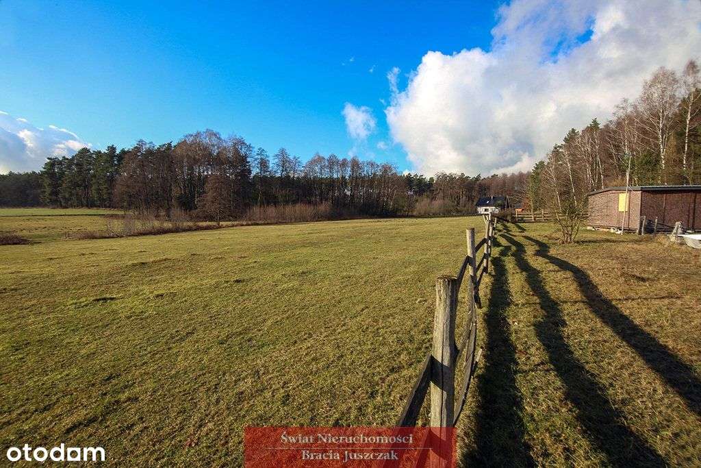 Las - cisza, spokój-2