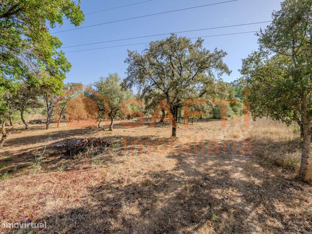 Terreno para construção e lazer - Grande imagem: 5/31