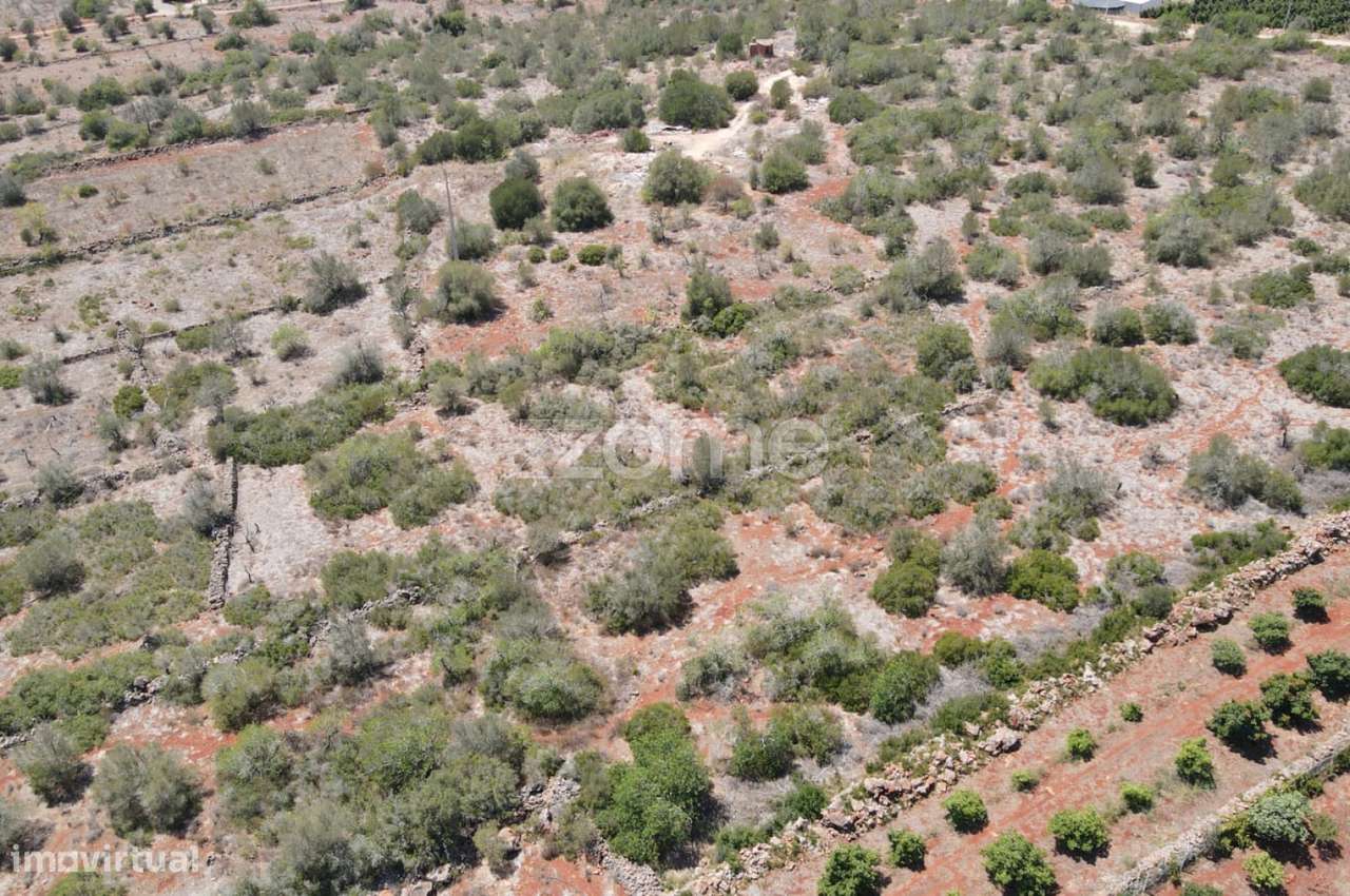 Terreno rústico em Messines, Casas Velhas, com 2.960m2 - Grande imagem: 4/18