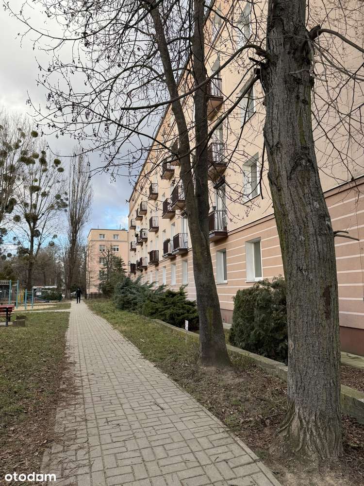 REZERWACJA Jeżyce/Ogrody.-18