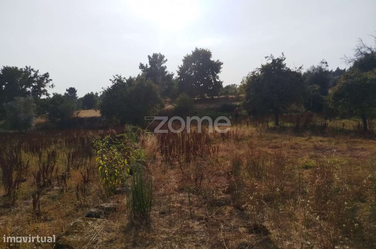 Terreno, 4 699 m², Santiago de Cassurrães e Póvoa de Cervães - Grande imagem: 5/19