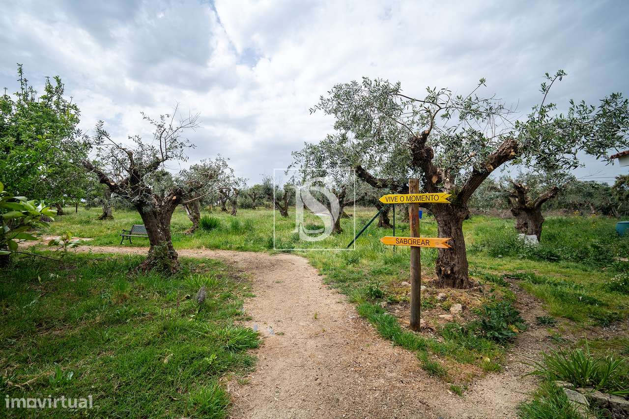 Quinta T9 Venda em Vimieiro,Arraiolos-29