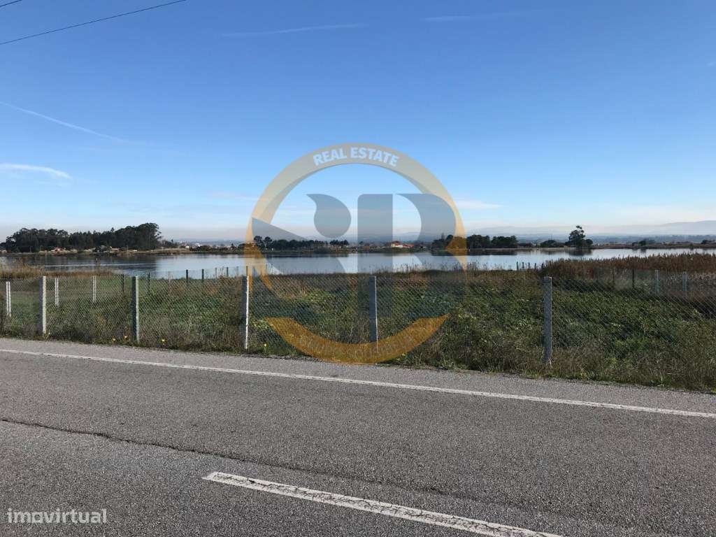 Terreno no Torrão do Lameiro - Grande imagem: 4/13