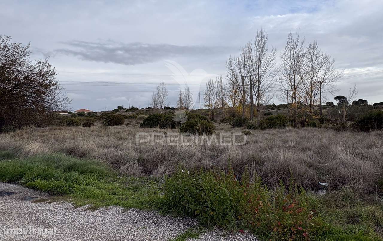 Terreno Empresarial 37.000 m² – A 1 Minuto da A1 e Junto à A23 | Op... - Grande imagem: 3/5