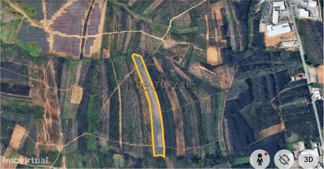 Terreno Rústico com 38.038 m² na Zona Industrial de Albergaria-a- Nova-0