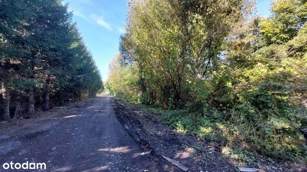 Działka z halą magazynową-9