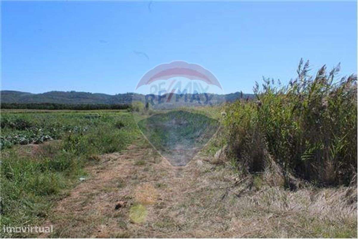 Terreno  para venda - Grande imagem: 5/23
