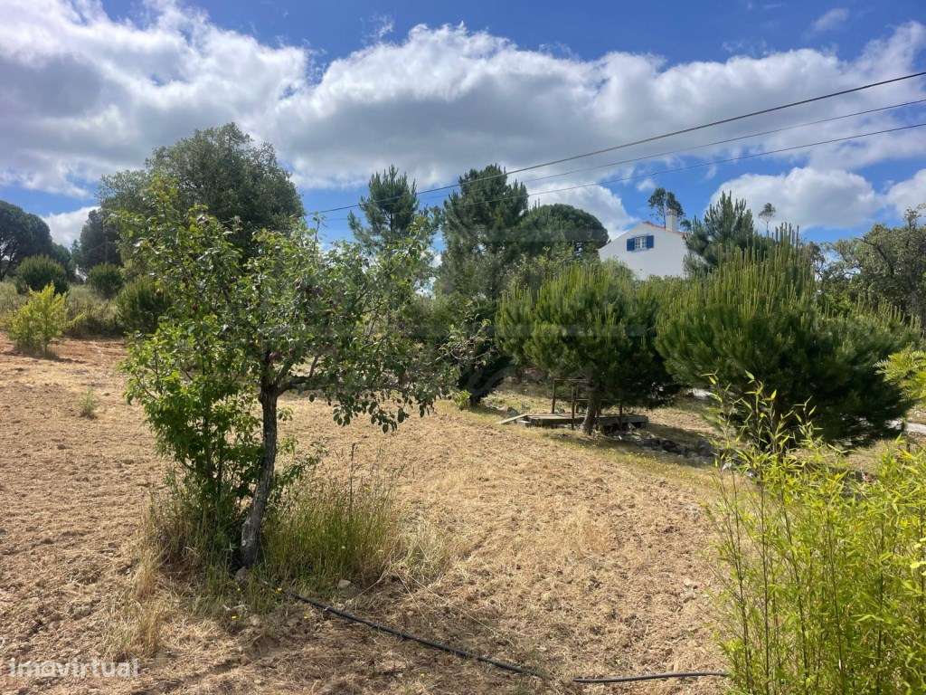 Quinta perto de Melides-52
