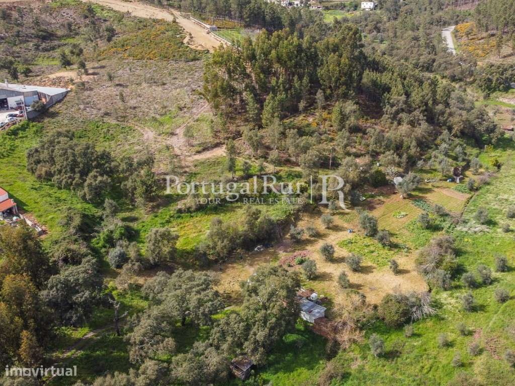 Terreno para construção em Proença-a-Nova - Grande imagem: 3/11