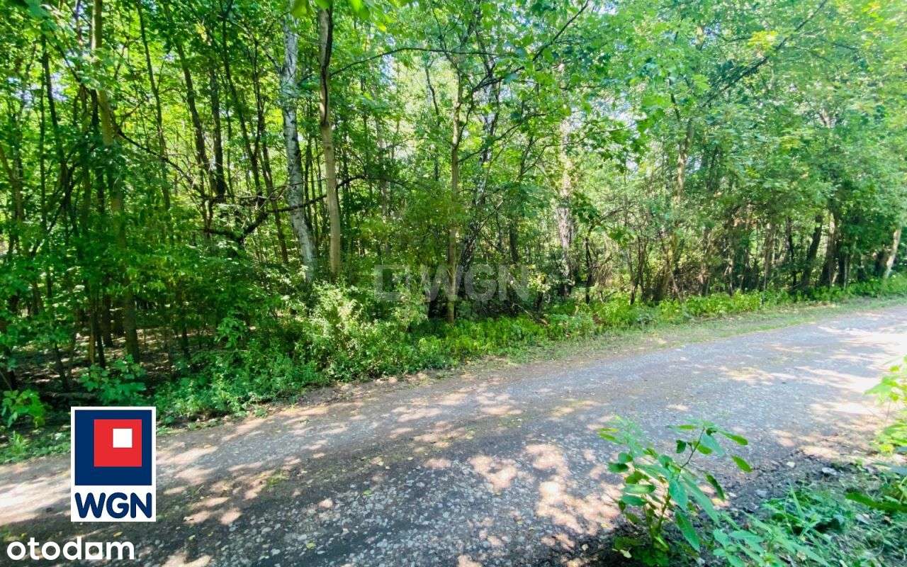 Klimatyczna działka przy lesie Kazimierz Górniczy-2