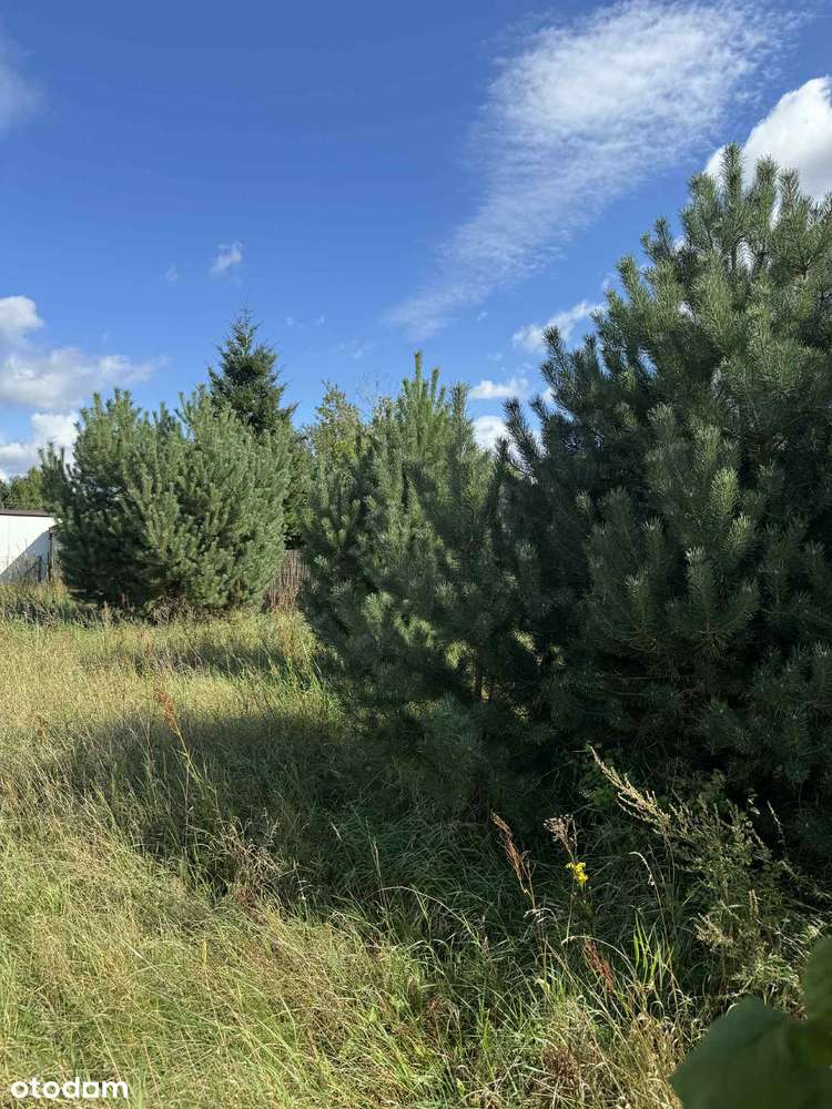 Działka budowlana 644 m² | 159 000 zł | Kaźmierz, pow. szamotulski-8