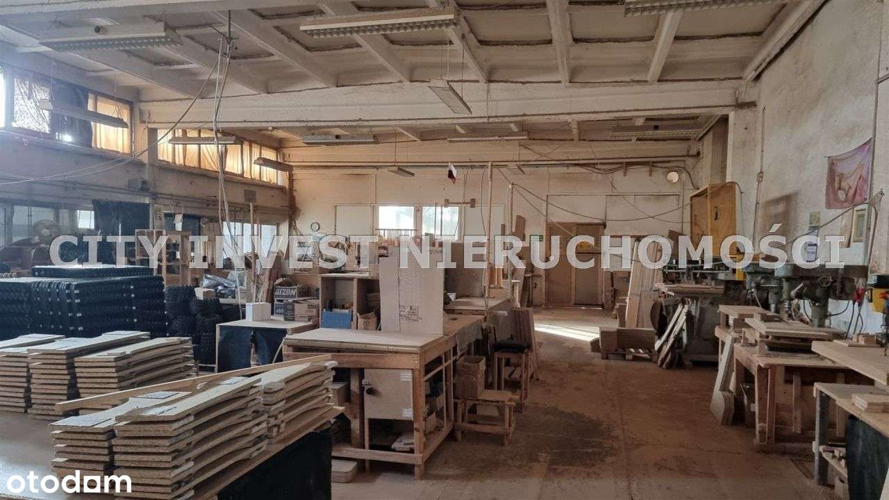 Hala/Magazyn, 4 750 m², Cybinka-6