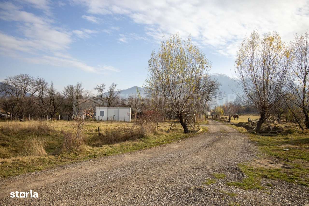 Teren intravilan parcelabil, priveliște spre munți, Sohodol, Bran-9
