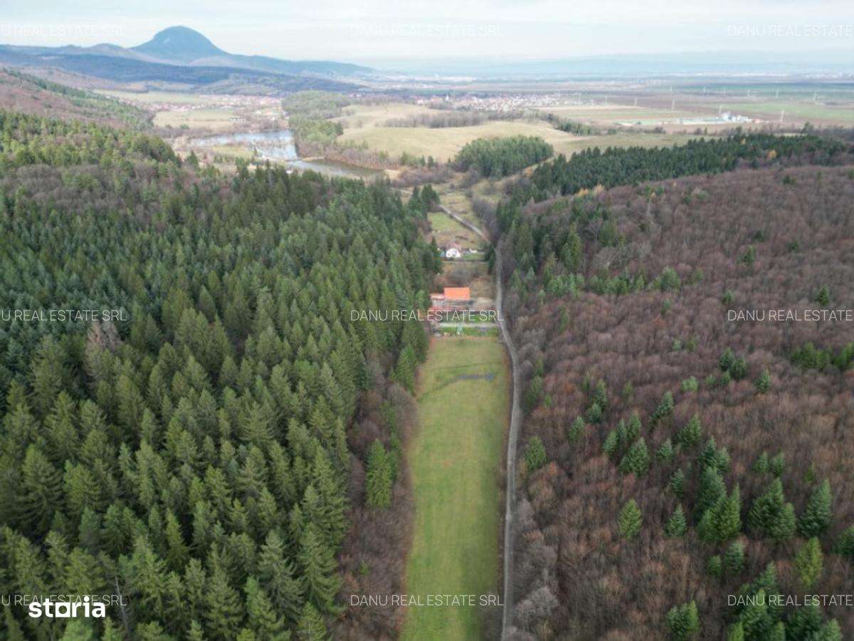 Teren intravilan2000mp în Vulcan BV–Oază de liniște -pădure si lacuri-6