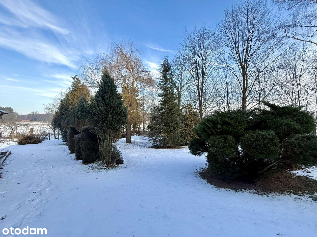 Blisko natury  – dom z dużą działką na sprzedaż lub zamianę-4