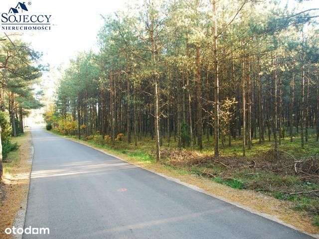 Działka siedliskowa - Krzyż - 12 001 m2-3