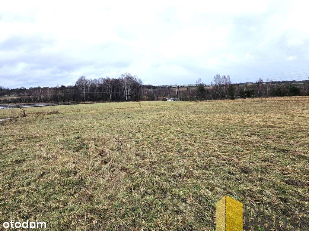 Działka 5 km od Słupska Niewierowo gm. Redz 9306m2 - Pełny obrazek: 5/6