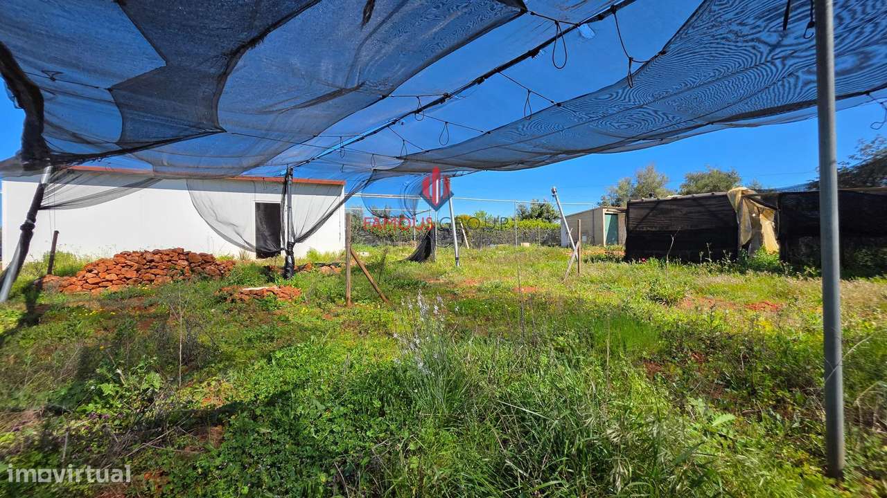 Excelente terreno rústico no concelho de Silves - Grande imagem: 2/43