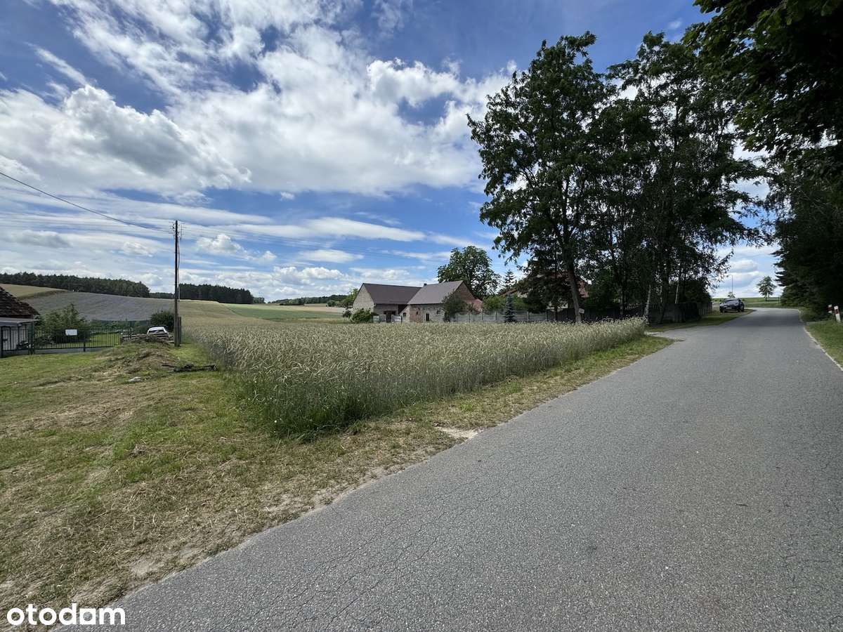 Działka budowlana z własnym lasem i asfaltowym dojazdem, media!-3