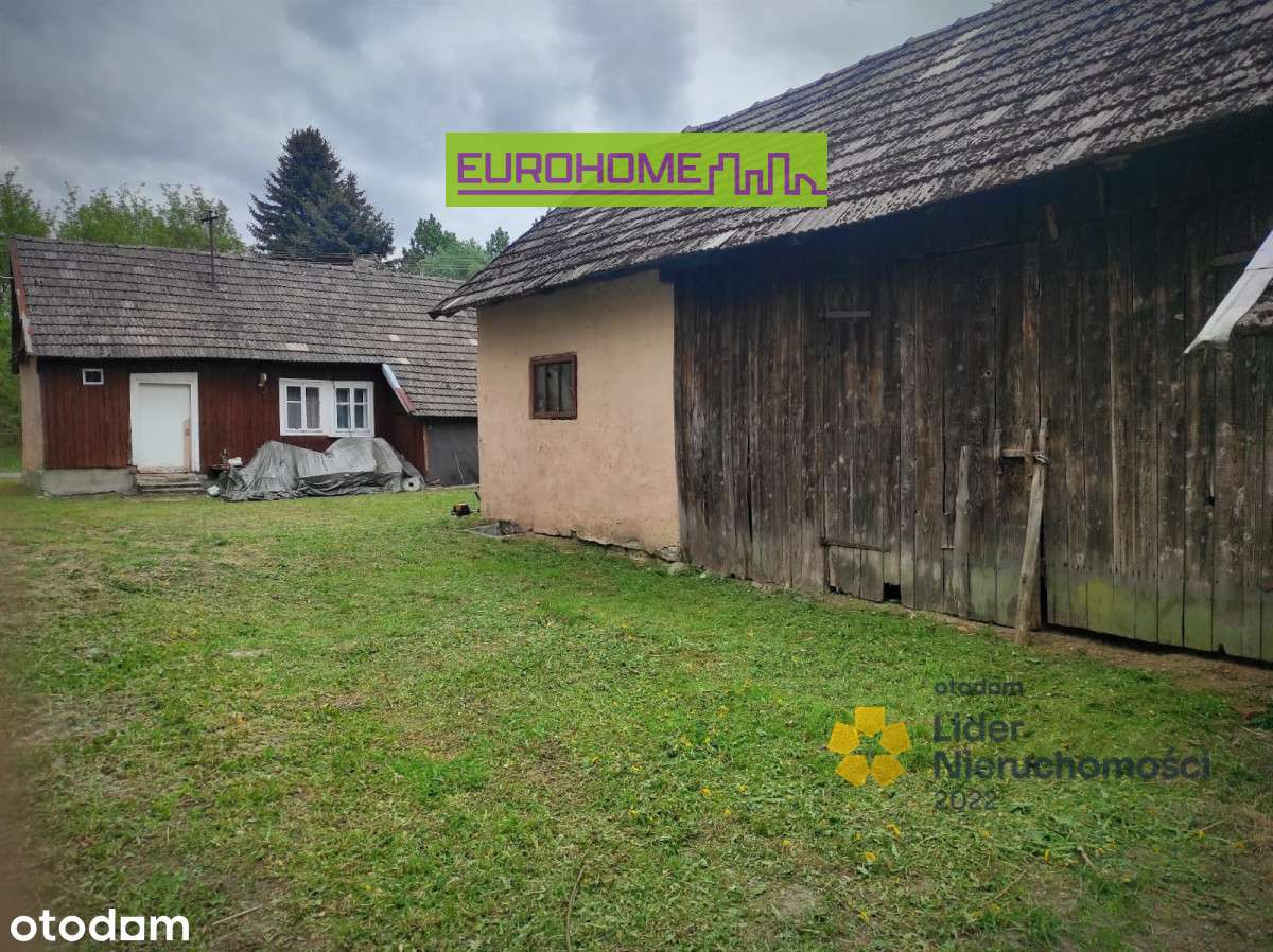 Dom z budynkiem gospodarczym | Duża działka 1,2 ha - Pełny obrazek: 4/18