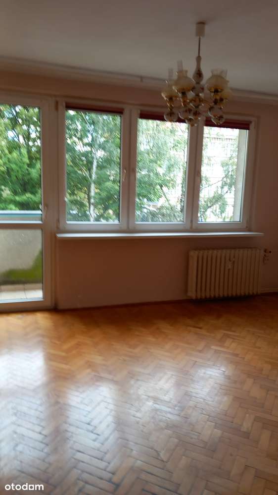 Na sprzedaż mieszkanie 25,52 m² – świetna lokalizacja, duży potencjał! - Pełny obrazek: 1/9