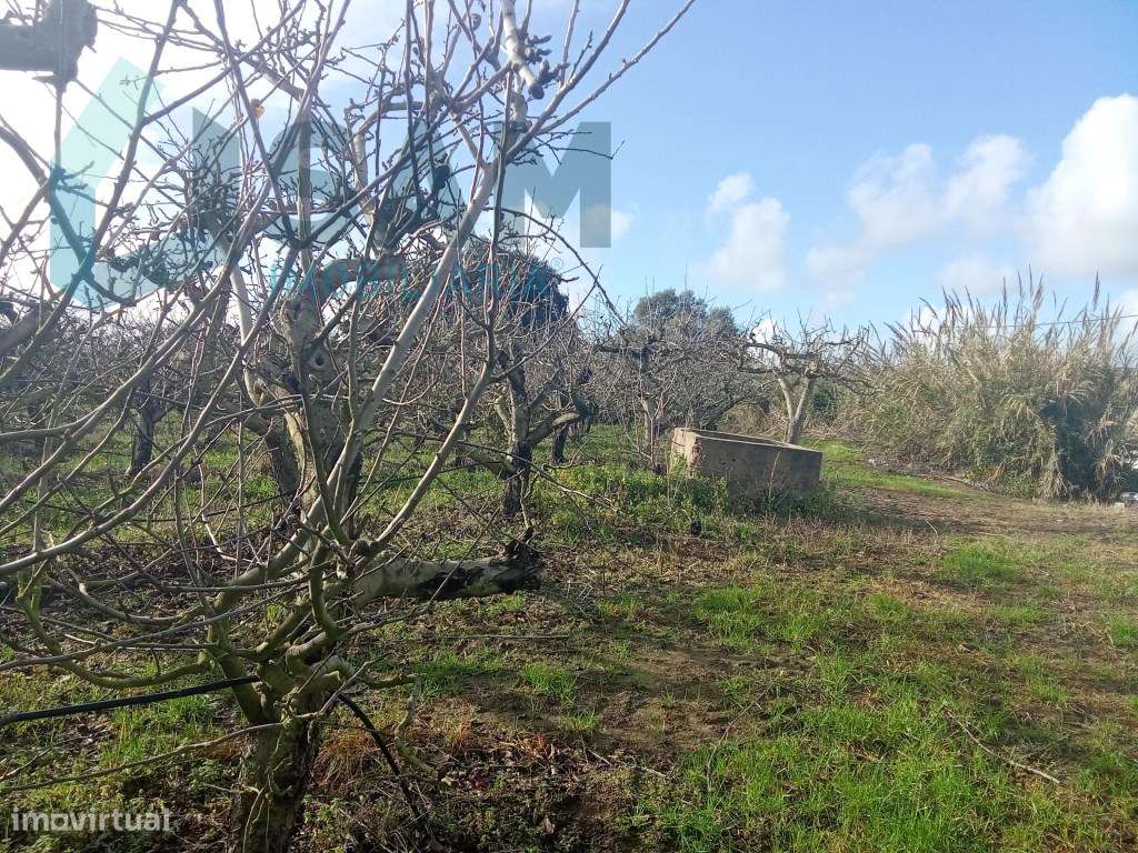 Terreno com Casa de habitação na Merceana - Grande imagem: 4/10