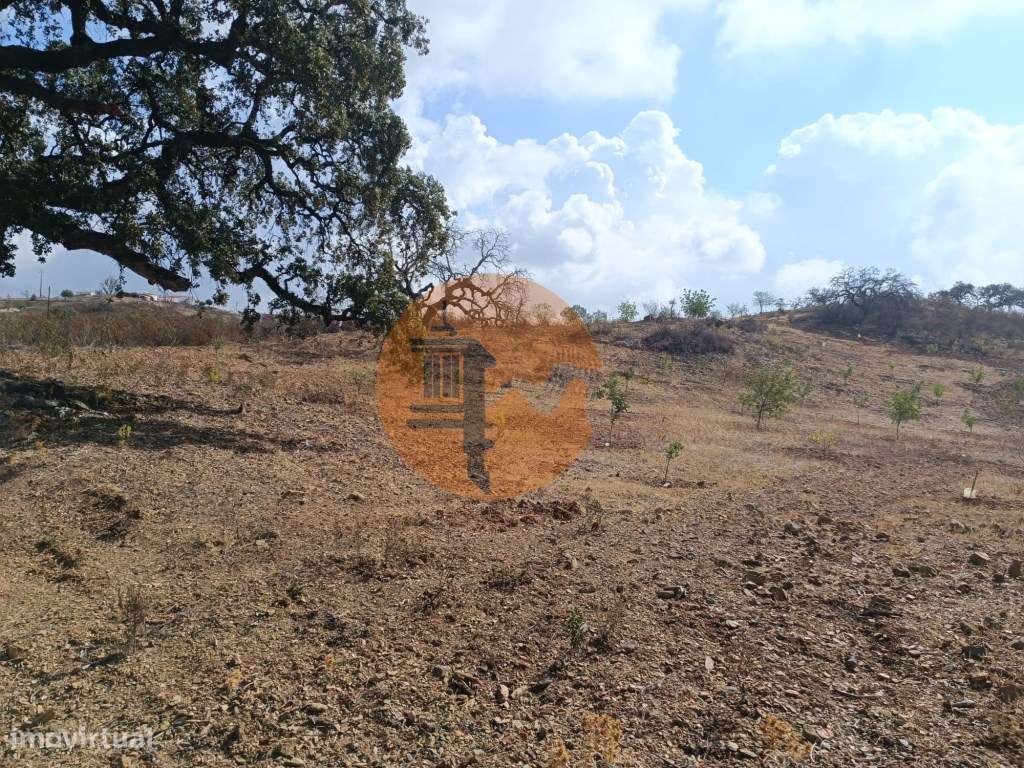 TERRENO RUSTICO COM 2.840 M2 - CORUJOS - CASTRO MARIM - ALGARVE - Grande imagem: 4/27