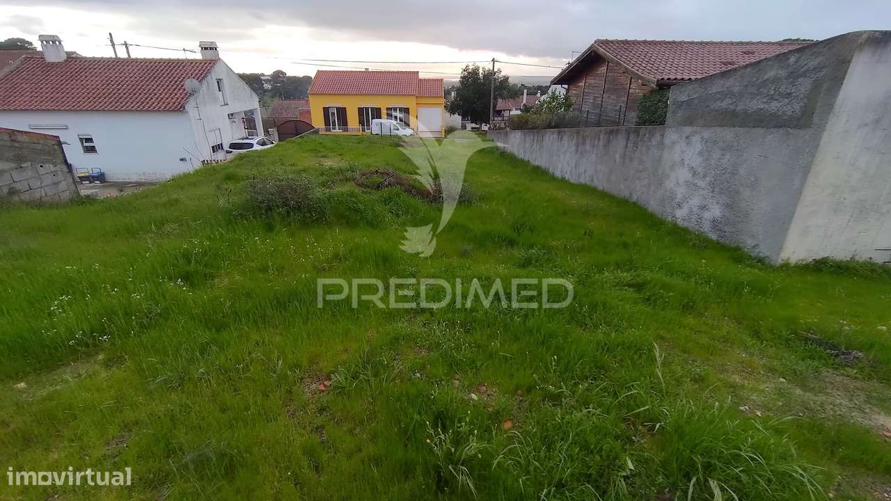 Terreno Urbano 317 m2 - Carregueira - Chamusca - Grande imagem: 4/7