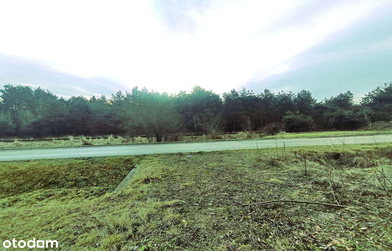 Siedlisko na Roztoczu, gmina Susiec-18