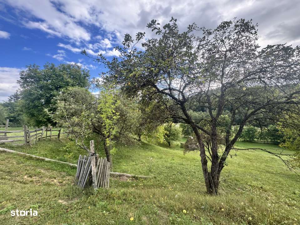 6.605 mp de natura pura – refugiu, afacere sau investitie in Candest-7
