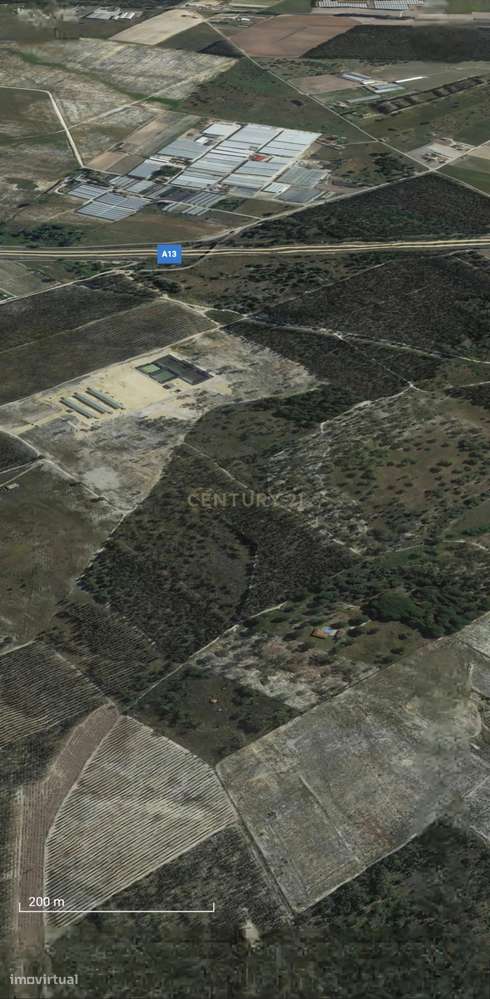 Terreno Rústico | 2 Hectares (20 000m2) | Santo Isidro de Pegões | Pot-7