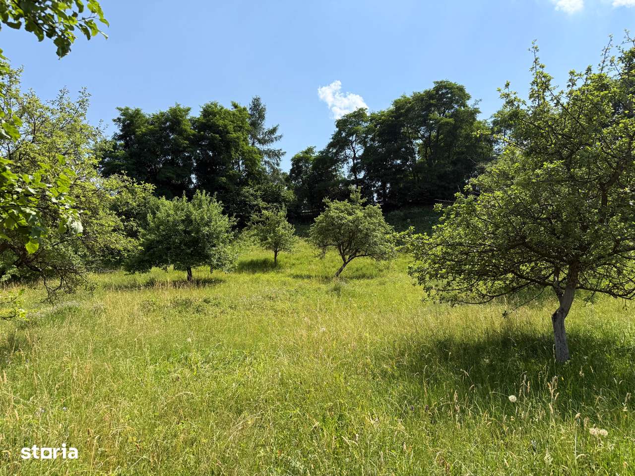 Teren intravilan 2330 mp, comuna Bran, sat Sohodol-2