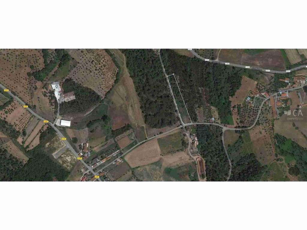 TERRENO - SOURE - Grande imagem: 5/9