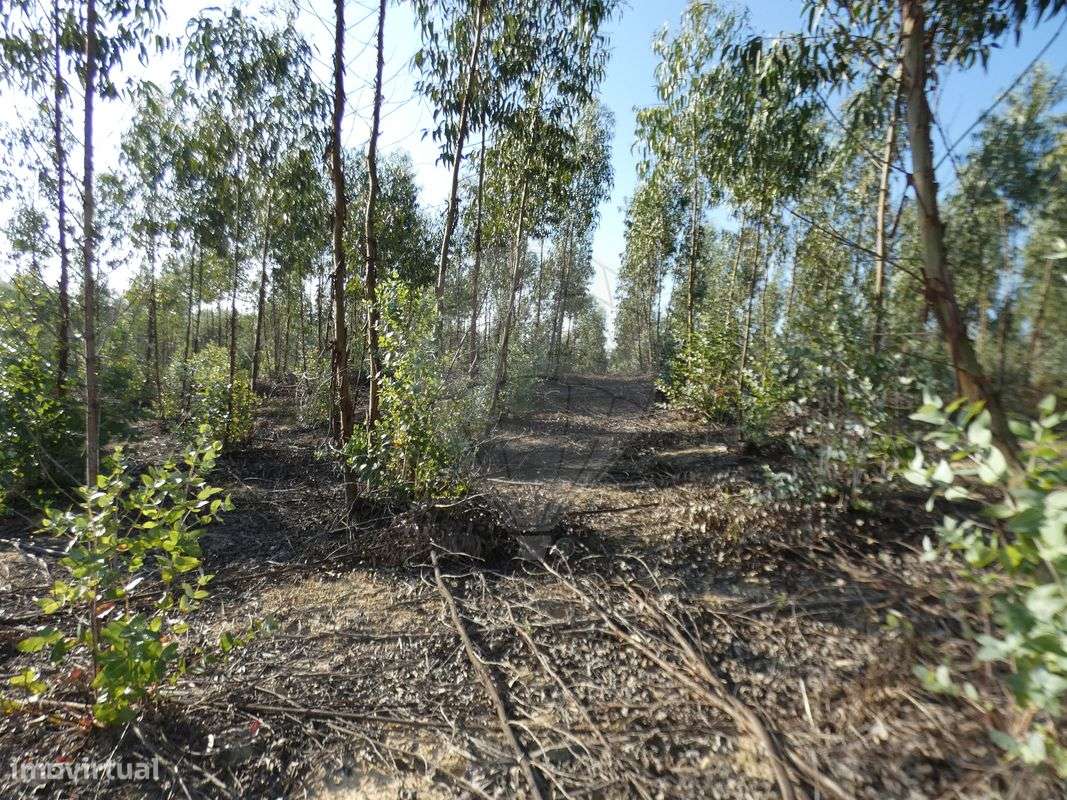 Moradia T4 para venda - Grande imagem: 5/14