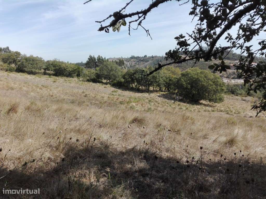 Terreno em Lousa - Grande imagem: 4/12
