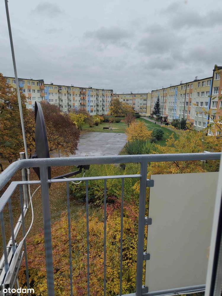 Mieszkanie 3 pokoje / 48m2 /os Strzemięcin /2 piętro ( rezerwacja) - Pełny obrazek: 5/20