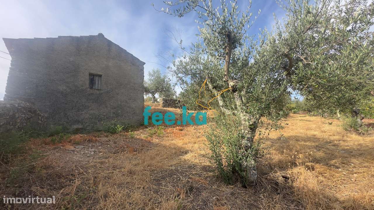 Quintinha-11