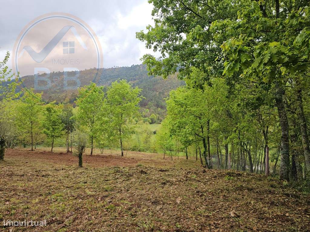 Quinta junto ao rio e área de lazer de Santa Senhorinha de Basto, C...-22