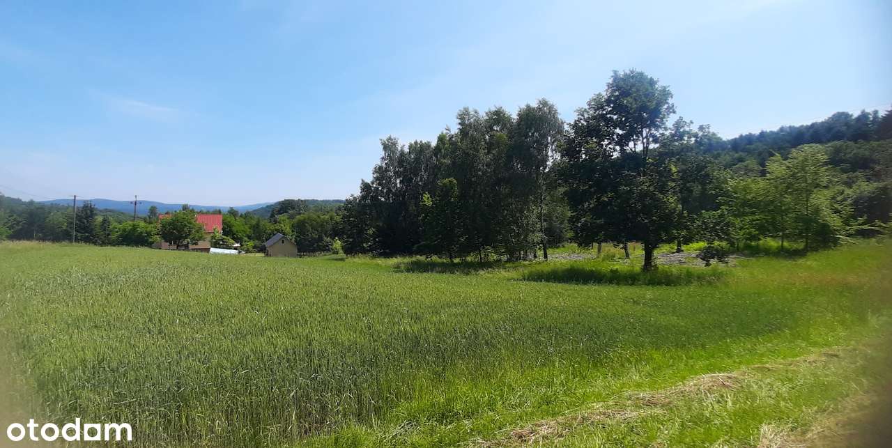 Widokowa działka Lanckorona, przy centrum, budowlana 30 arów - Pełny obrazek: 4/6