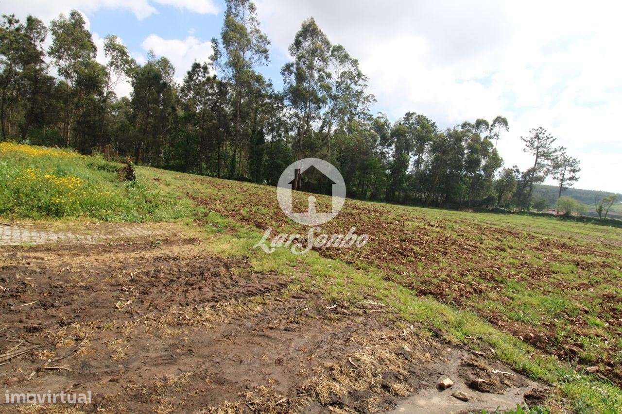 Terreno de construção com 6.190 m2 em Balazar - Grande imagem: 3/7