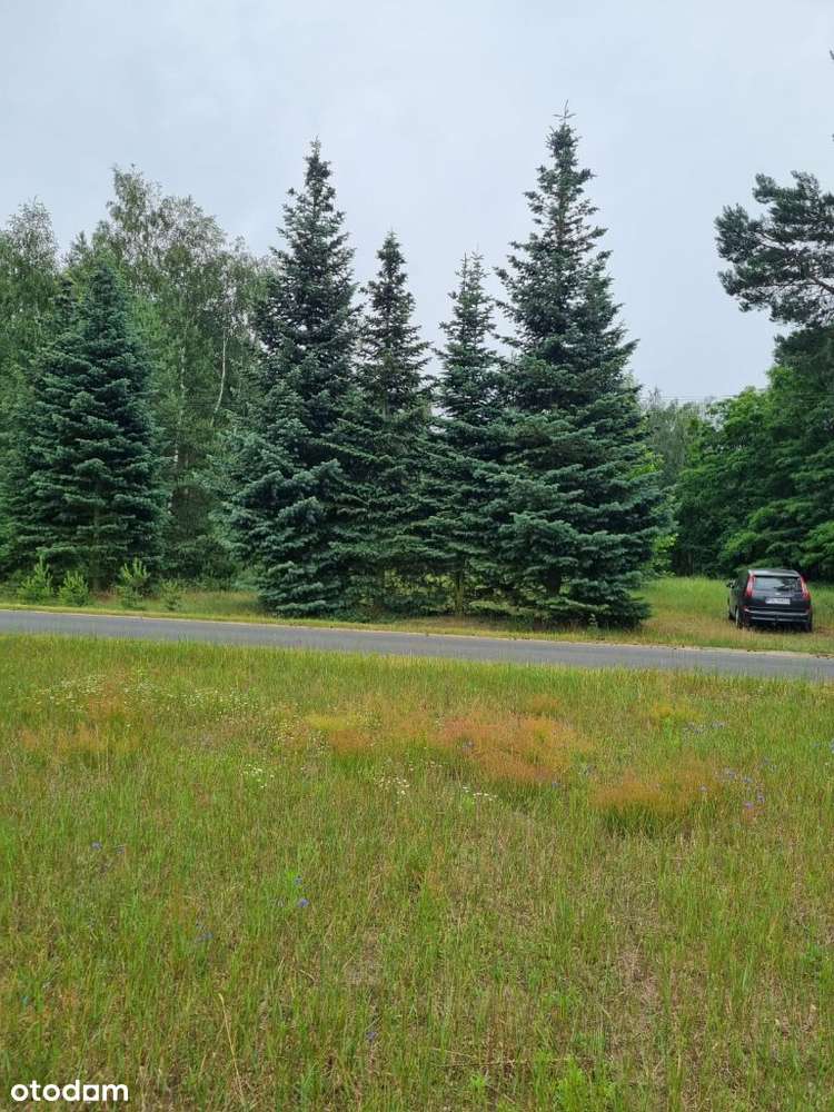 Urokliwa Działka w Powidzkim Parku Krajobrazowym - Pełny obrazek: 4/17