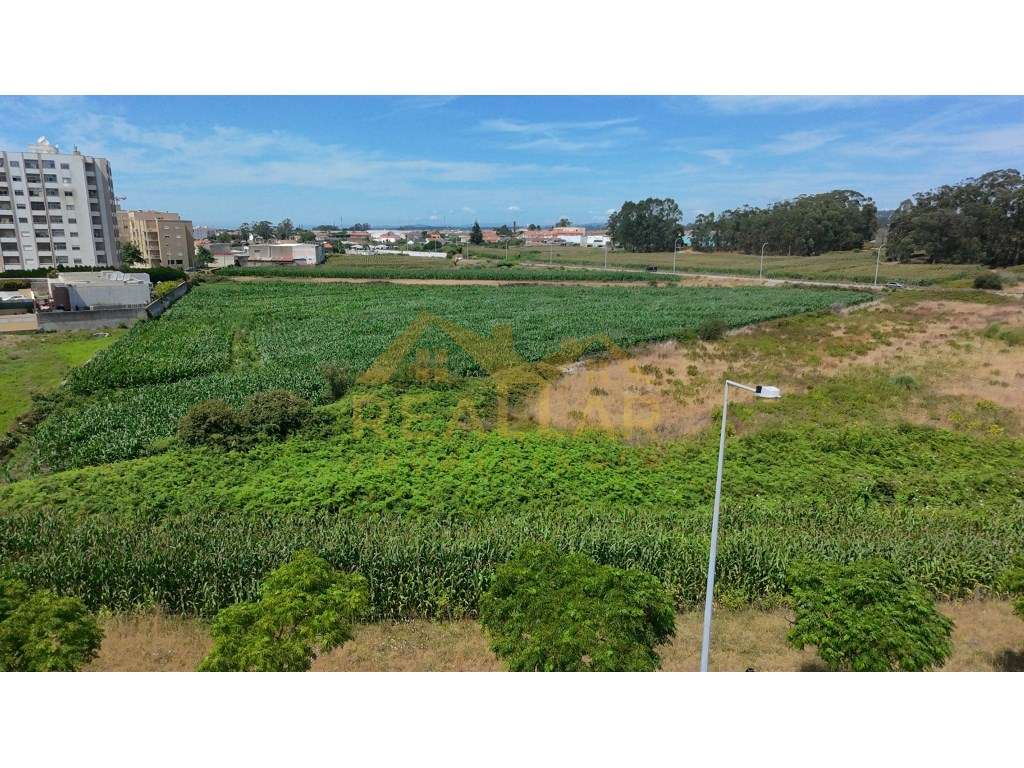 Excelente Oportunidade de Investimento: Terreno para Construção em ...-18