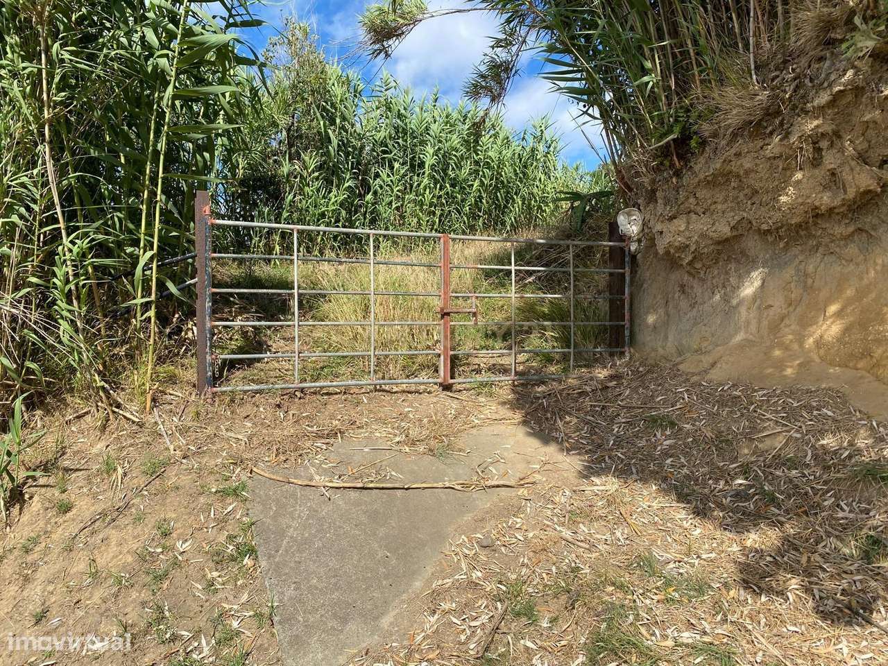 Terreno, 4 500 m², Lomba de São Pedro - Grande imagem: 4/15