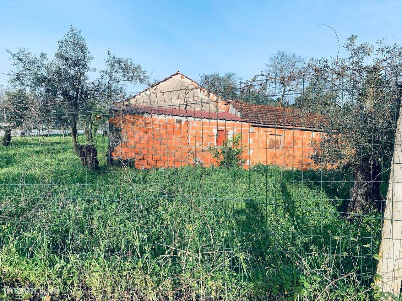 MoradiaT2  para restaurar em Pombal - Grande imagem: 4/34