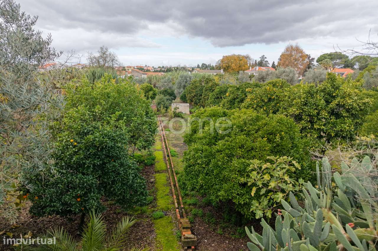 Moradia T4 Riachos - Torres Novas-3