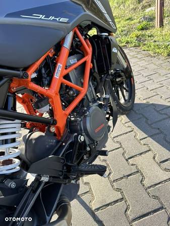 KTM Duke - 29